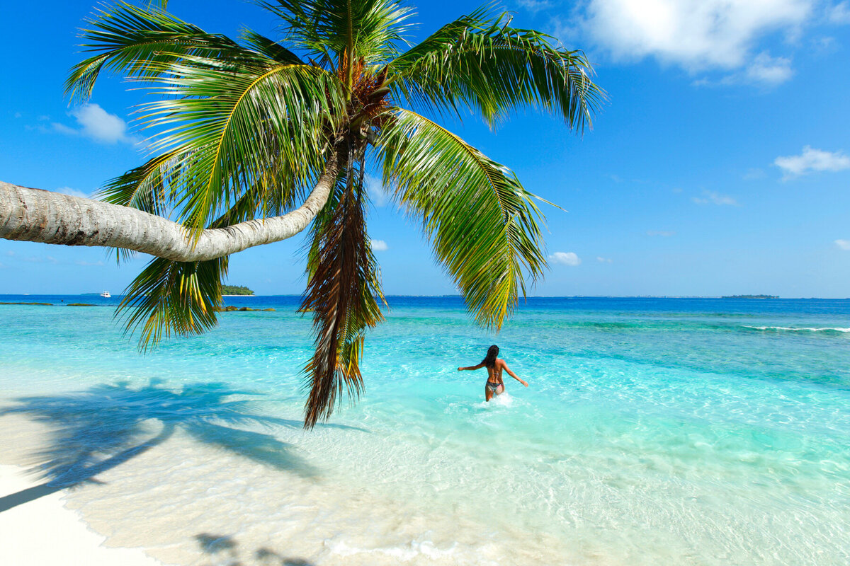 caribbean beach