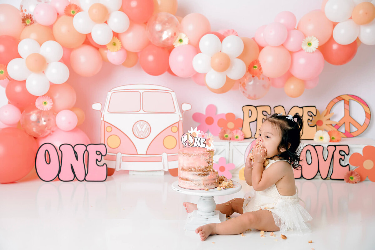 new-jersey-smash-cake-photographer-80