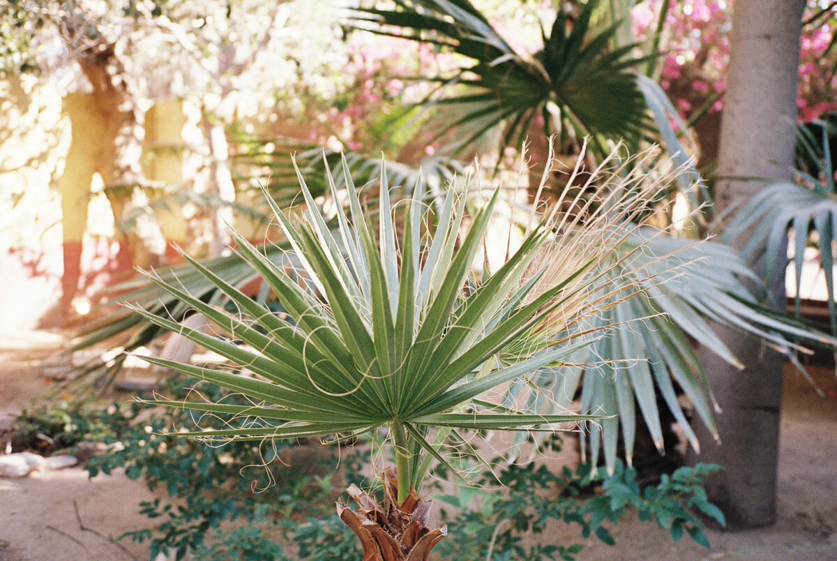 Arizona Wedding Photographer (12 of 102)