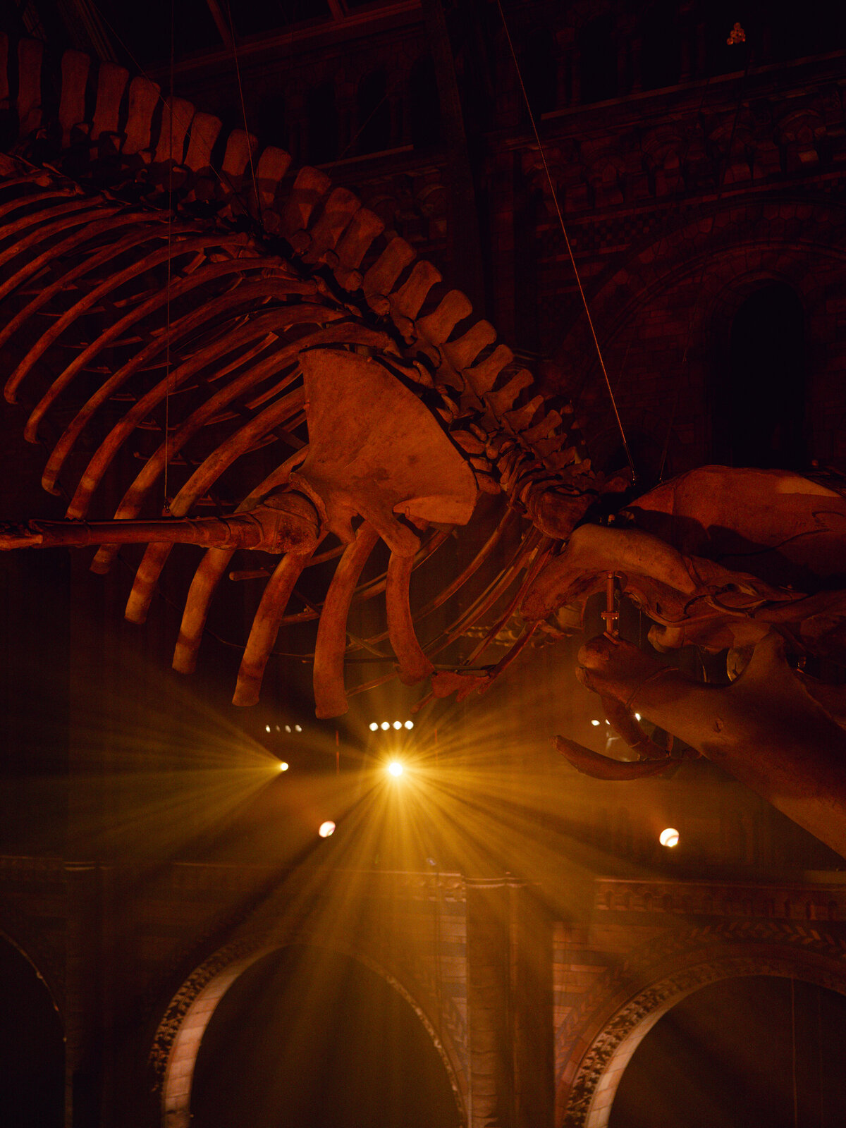 nhm-christine-morgan-Holly Clark Photography -825