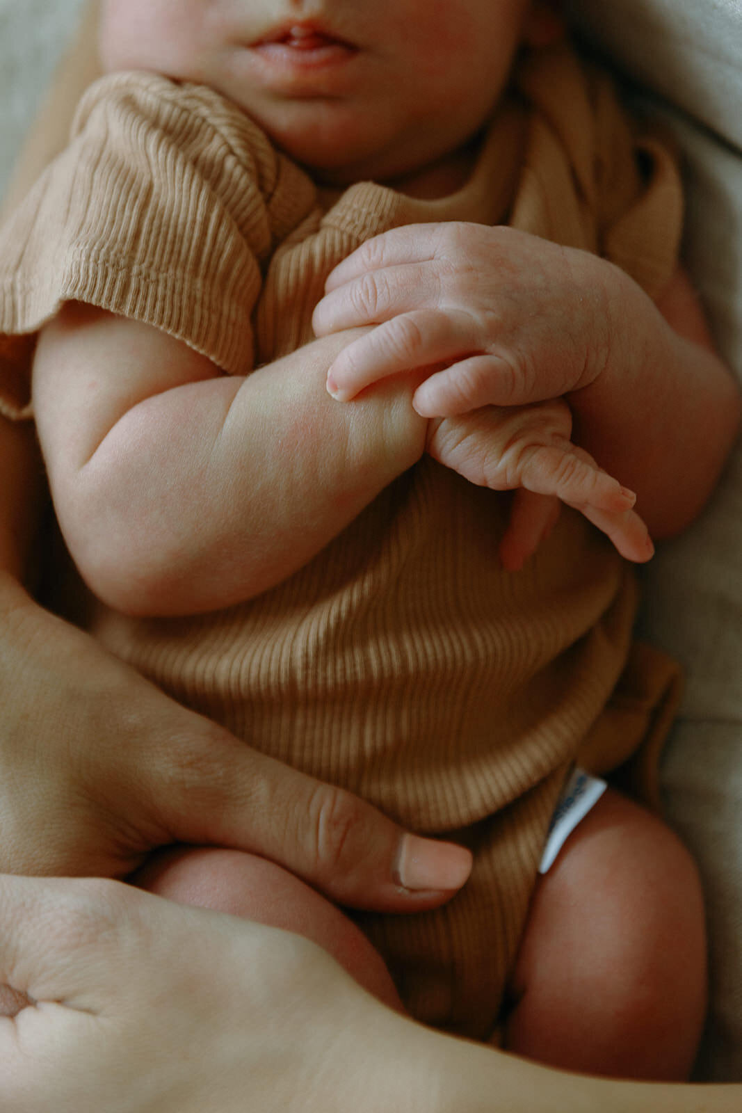 6.9.2025 - The Schultz Family_ Newborn-139