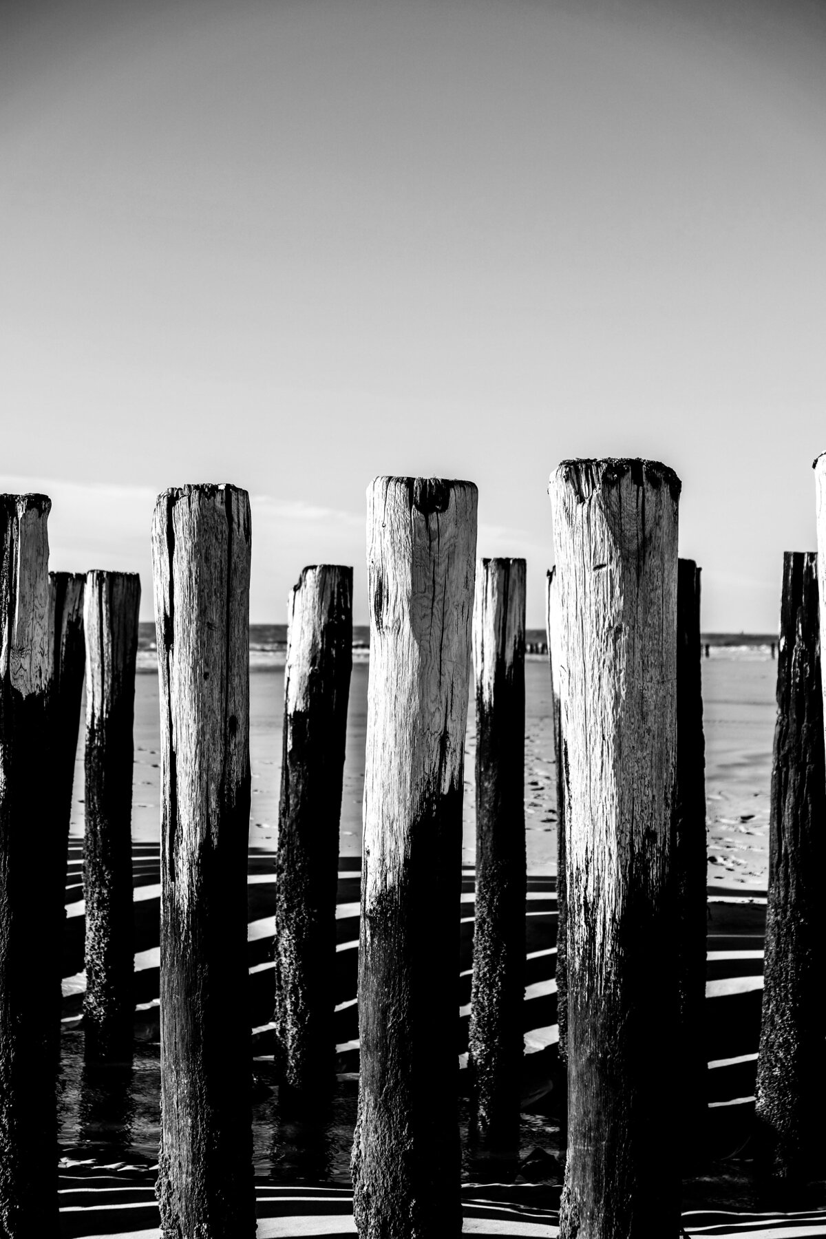 STUDIO JULLES X ZEELAND 2