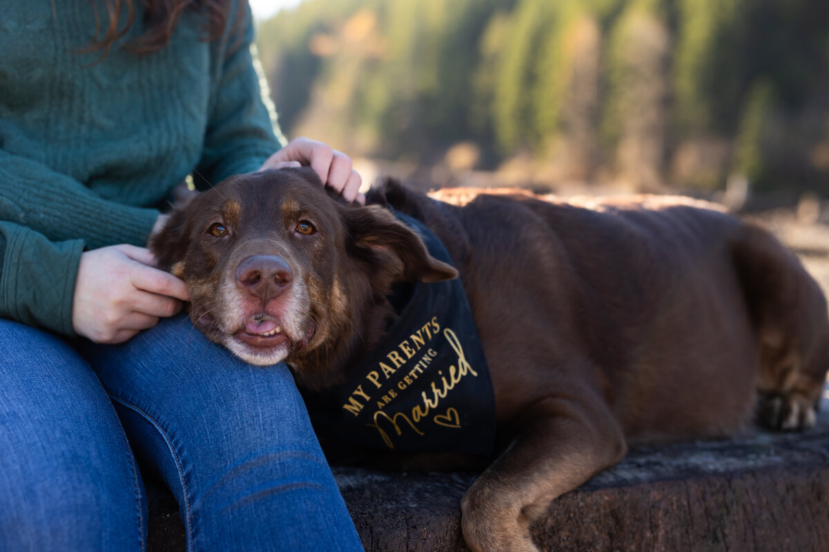 Engagement photography session at Rattlesnake lake in snoqualmie washington- 8
