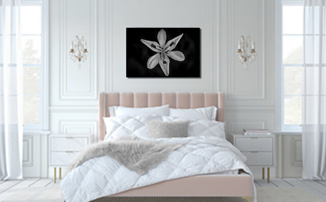 Flower Fine Art Photography Print Display black and white metal closeup of flower title Pinwheel