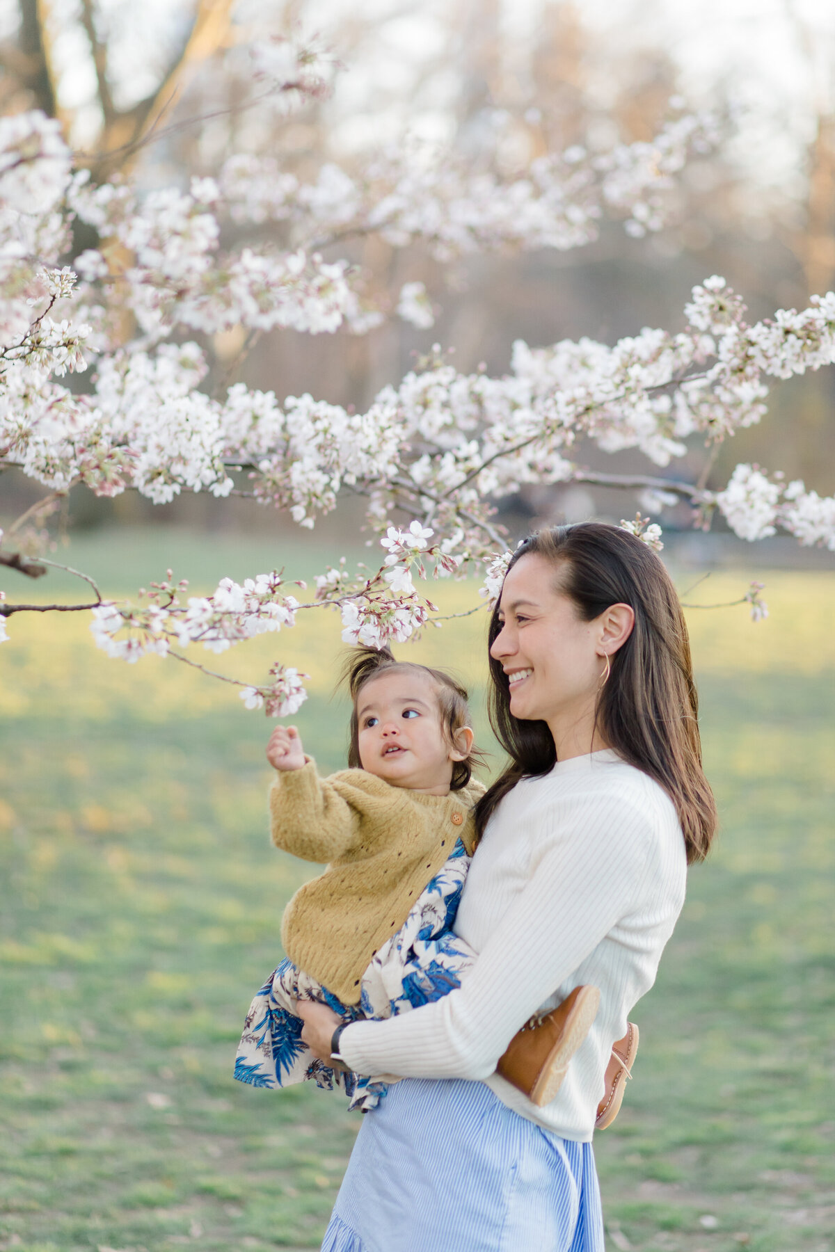 Brooklyn family photographer