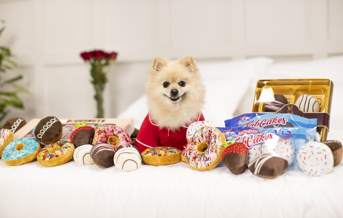 pet product photographer 5