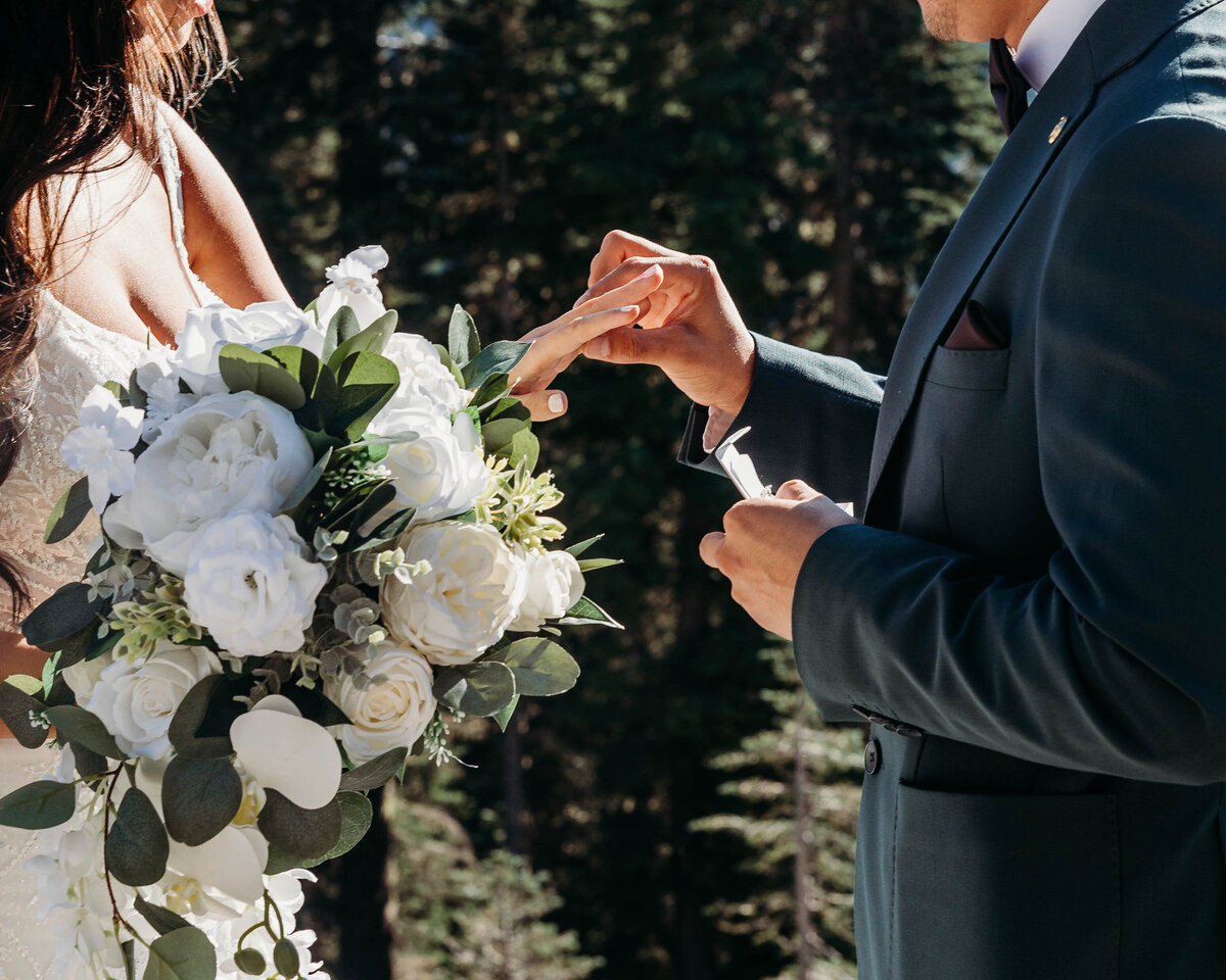 Mount Rainier, Washington Elopement-8375