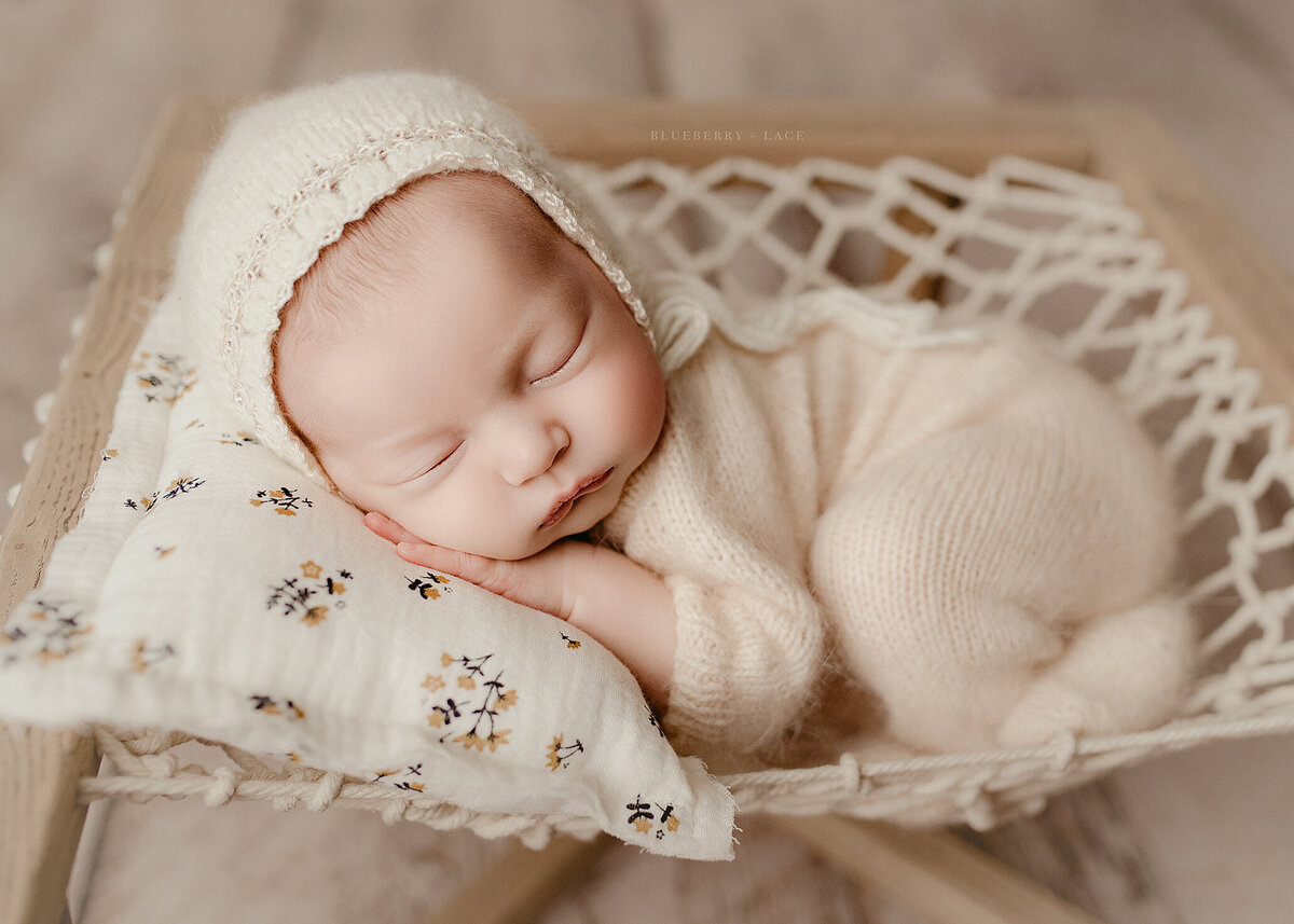 oswego ny newborn photographer in studio neutrals and creams posed so perfectly