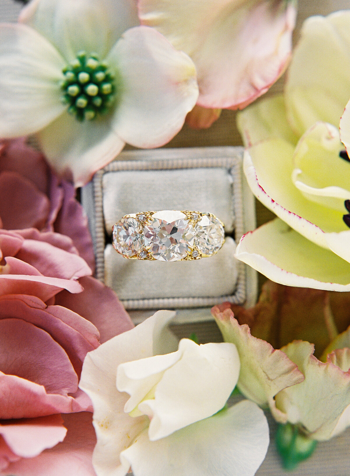 Timeless Wedding Photography in Northern California - Napa - Bir Sur - Lake Tahoe - Carmel Valley - Carlie Statsky Photgraphy -  44