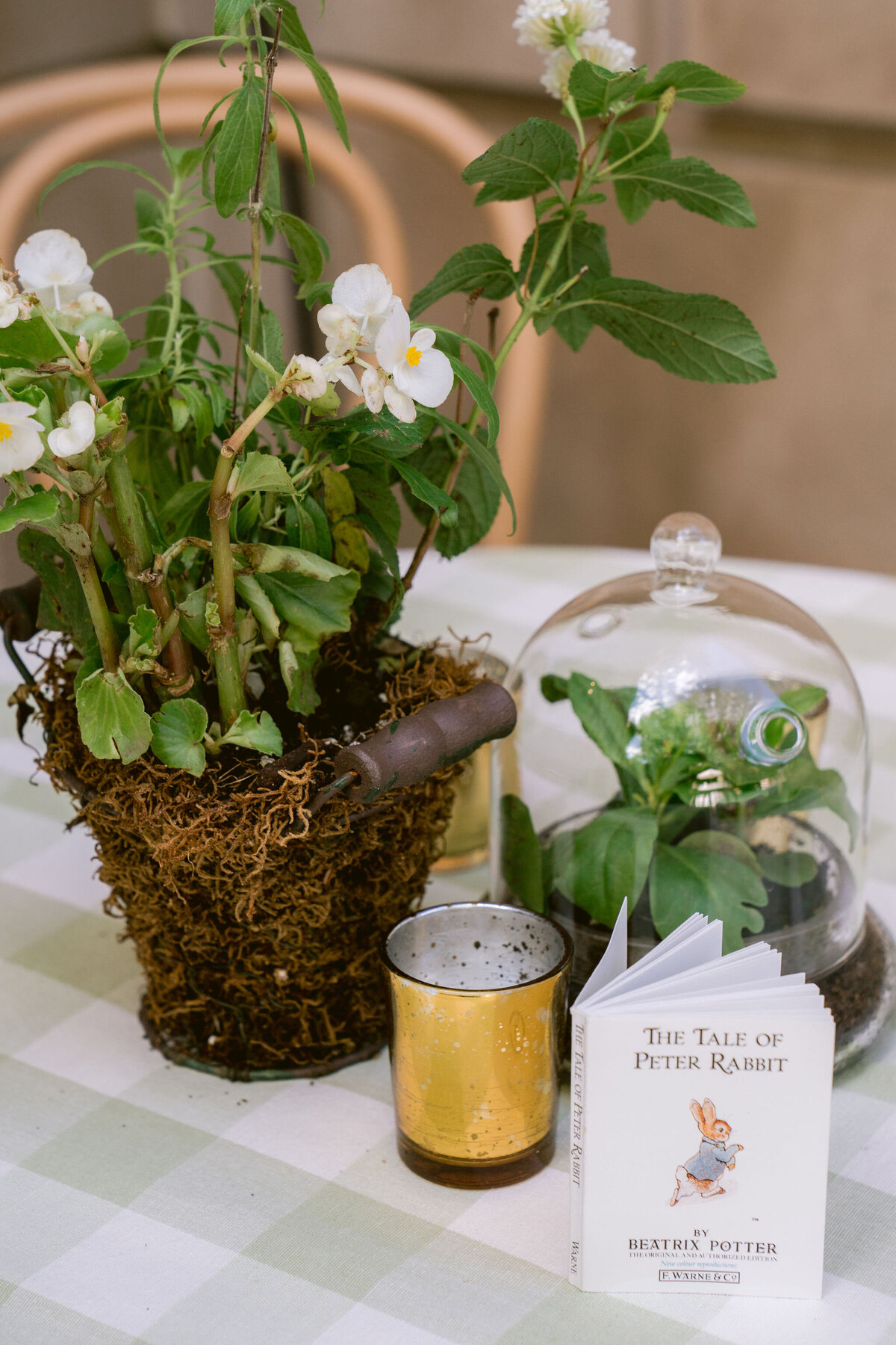 Special-Event-Planner-Childrens-Birthday-Party368