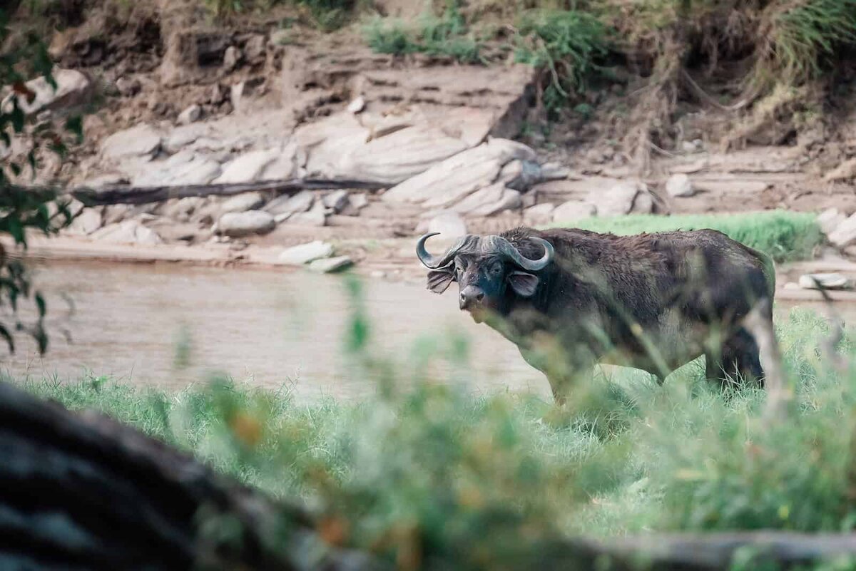 kenya-safari-wedding-photography-multi-day-safari-elopement-Soul-and-Sky-Weddings
