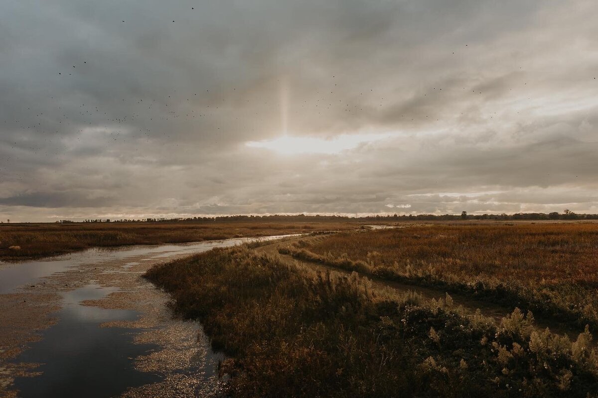 Sunset over a moody marsh in Long Point