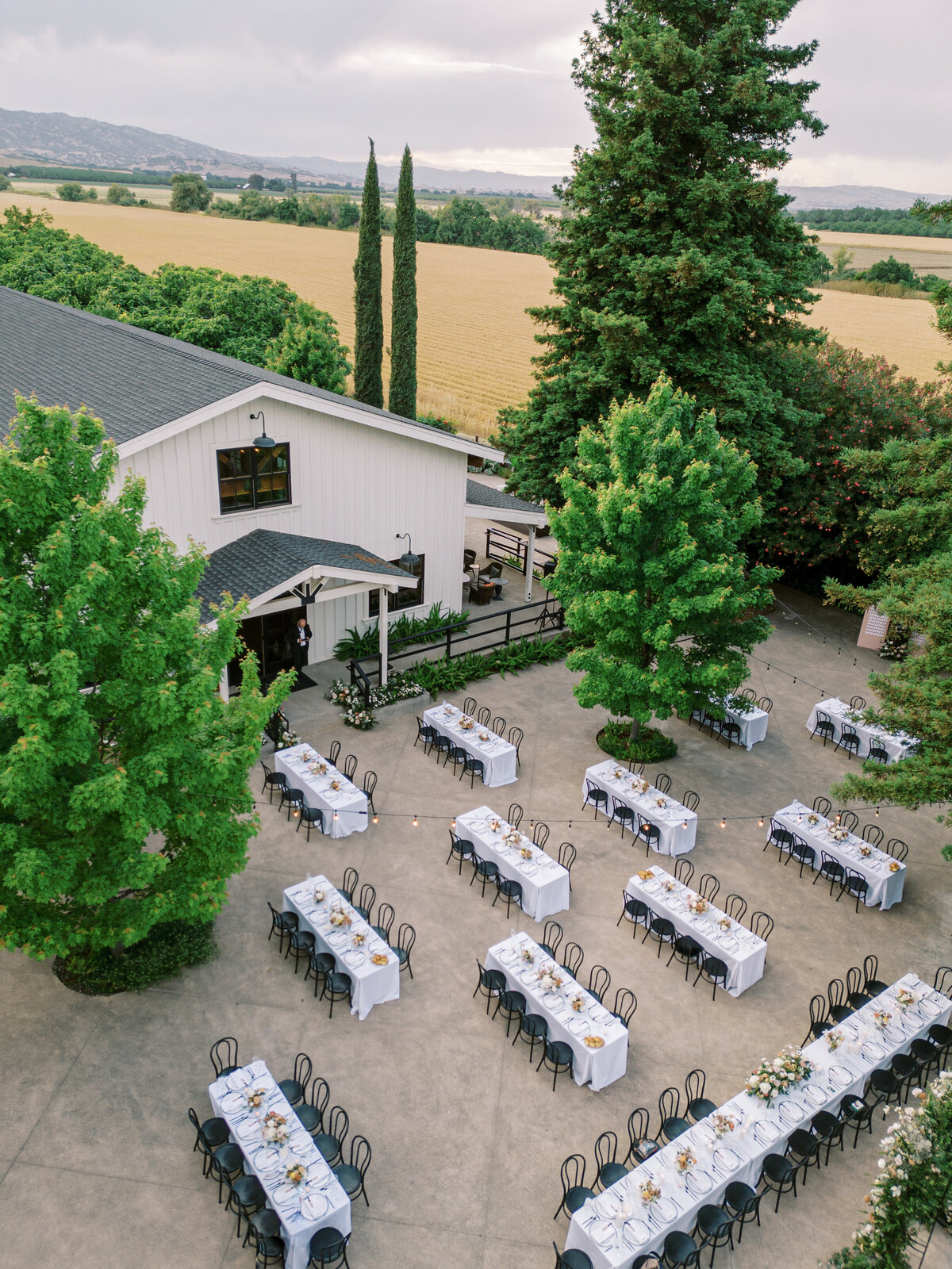 Park Winters Wedding Photo-127