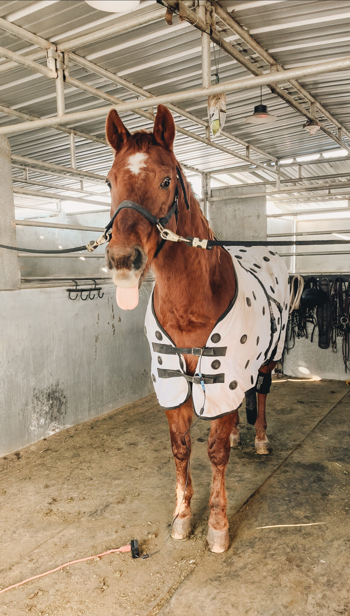 Photo Feb 02 2023, 7 06 37 PM