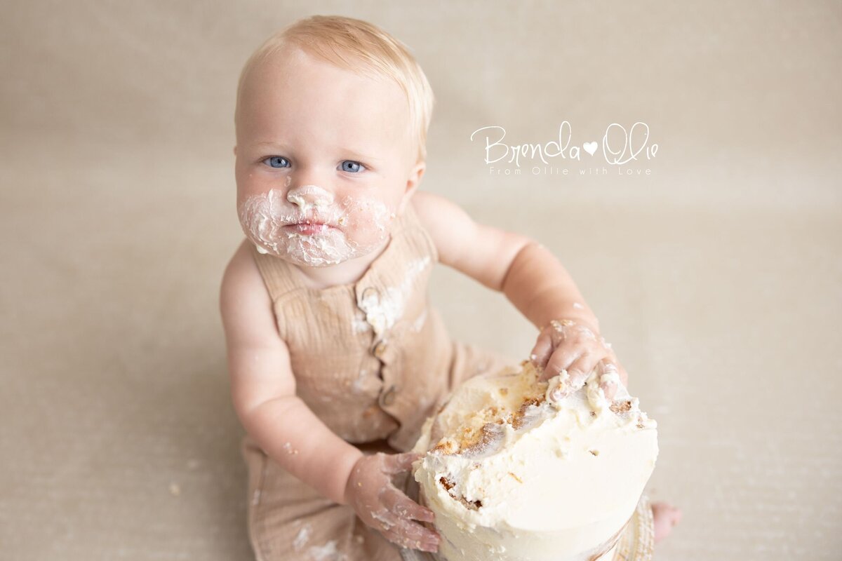 cakesmash-brendaolie17