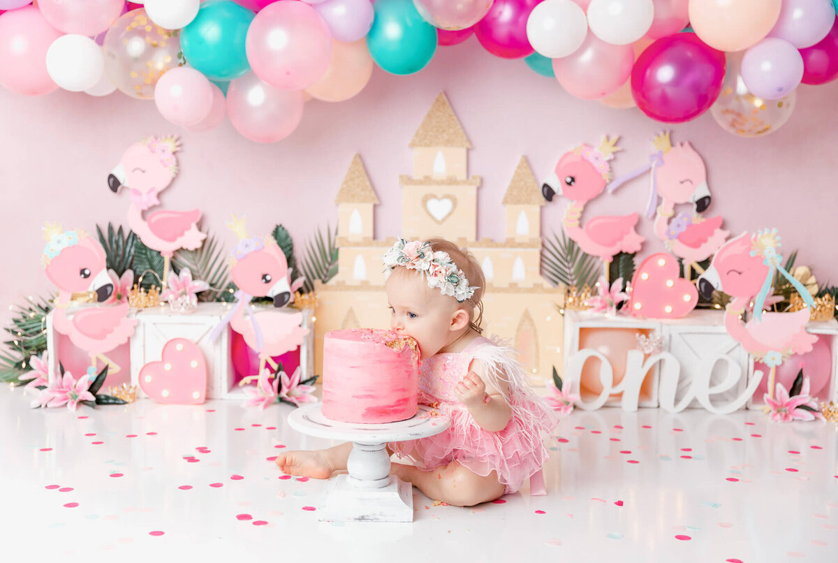 new-jersey-smash-cake-photographer-54
