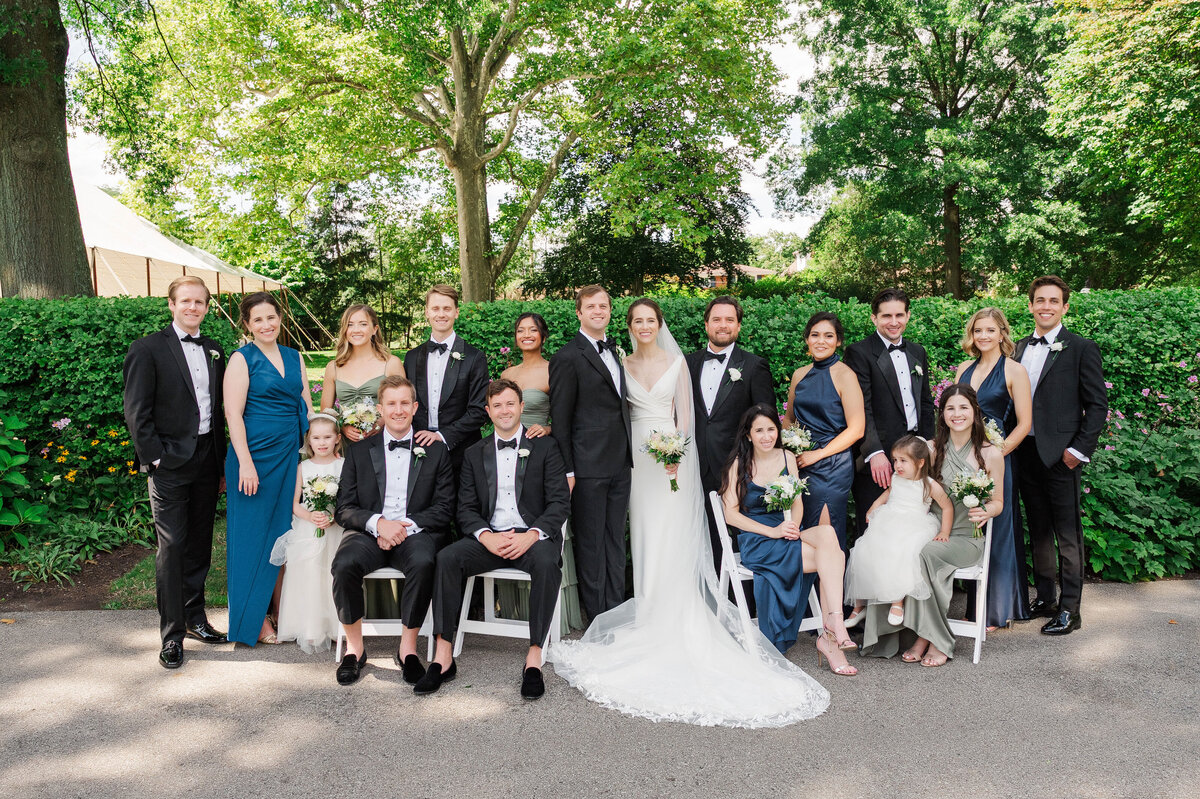 large wedding party photo