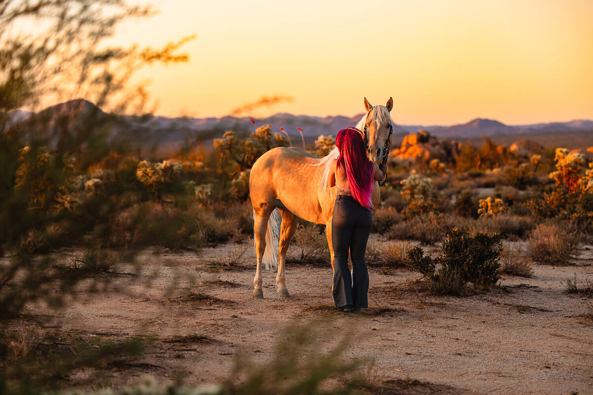El-Paso-Texas-Horse-Photographer-086