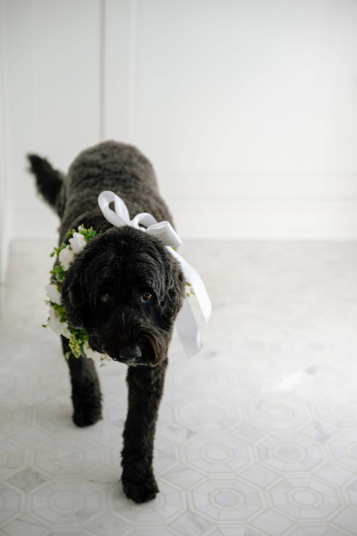02-Classic-Inn-at-Longshore-Westport-Connecticut-Wedding-Planner-Mary-Thornton-Events