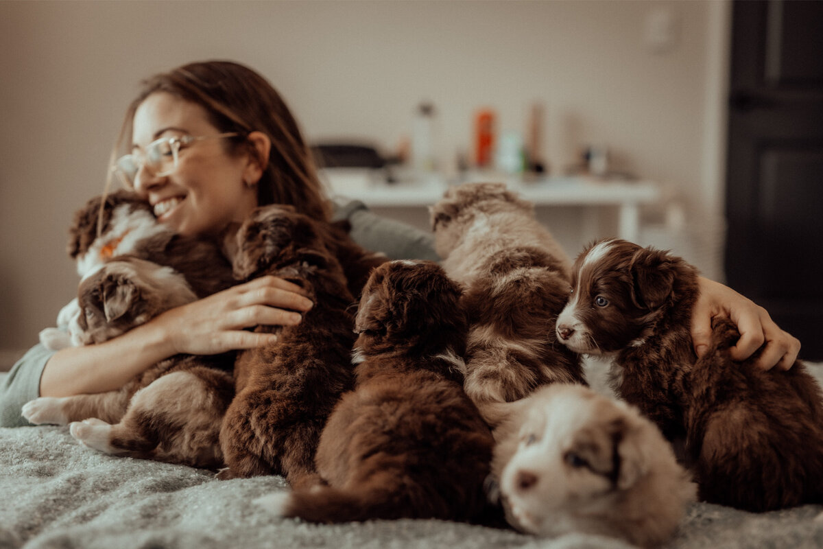 the-lifestyle-phodographer-perth-family-pet-photographer-litter00012