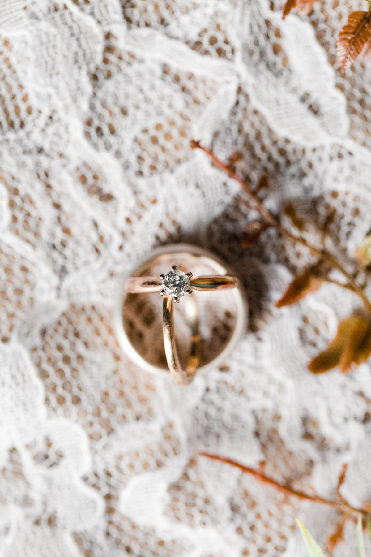 Jared & Elizabeth Blog (0006