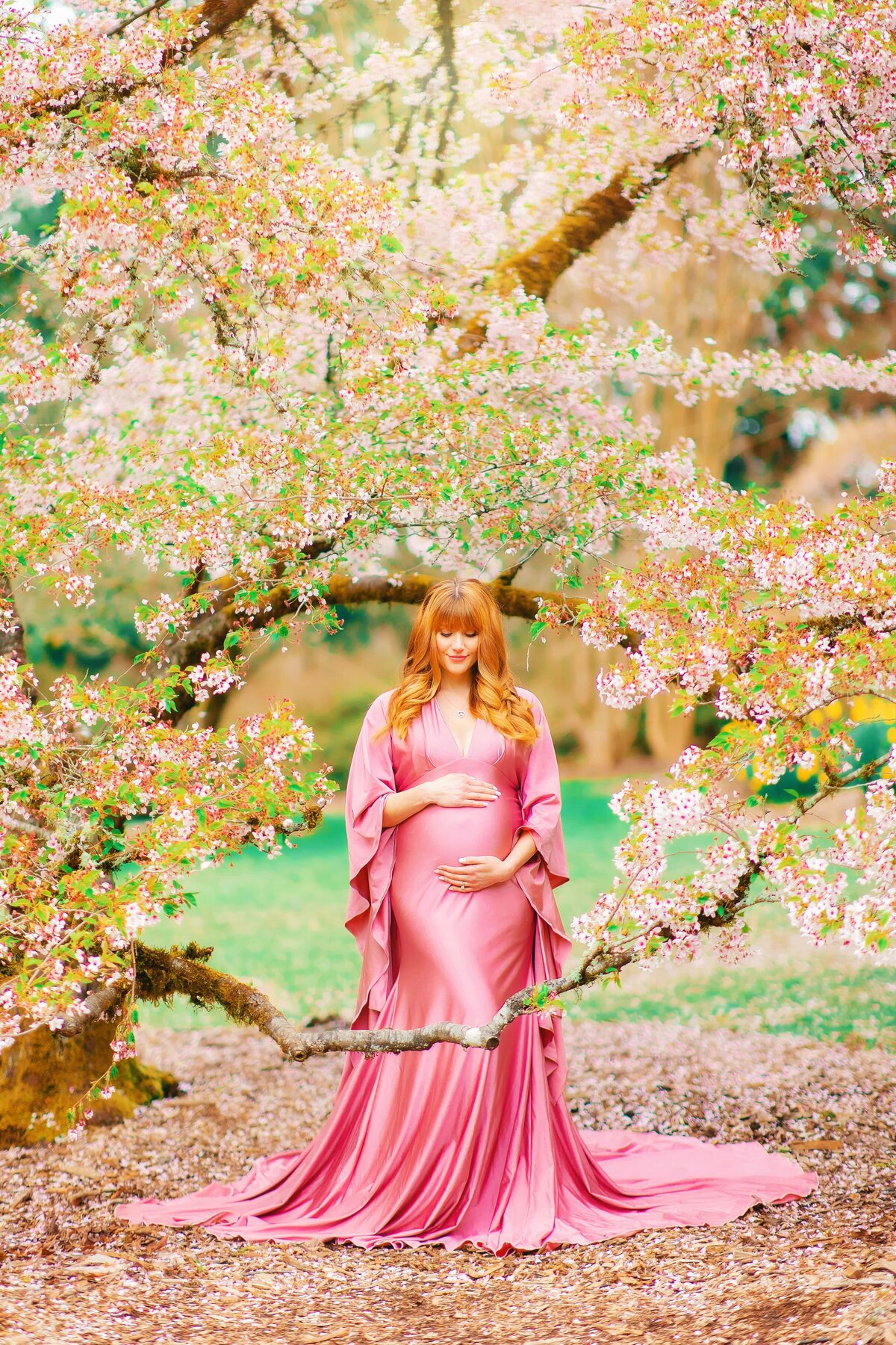 Maternity Pregnancy Cherry Blossoms UW Arboretum Seattle