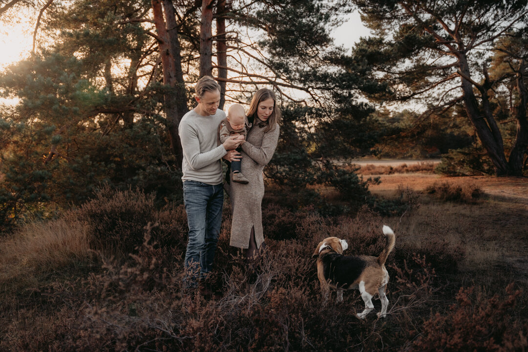Familie fotograaf loonse en drunense duinen-1