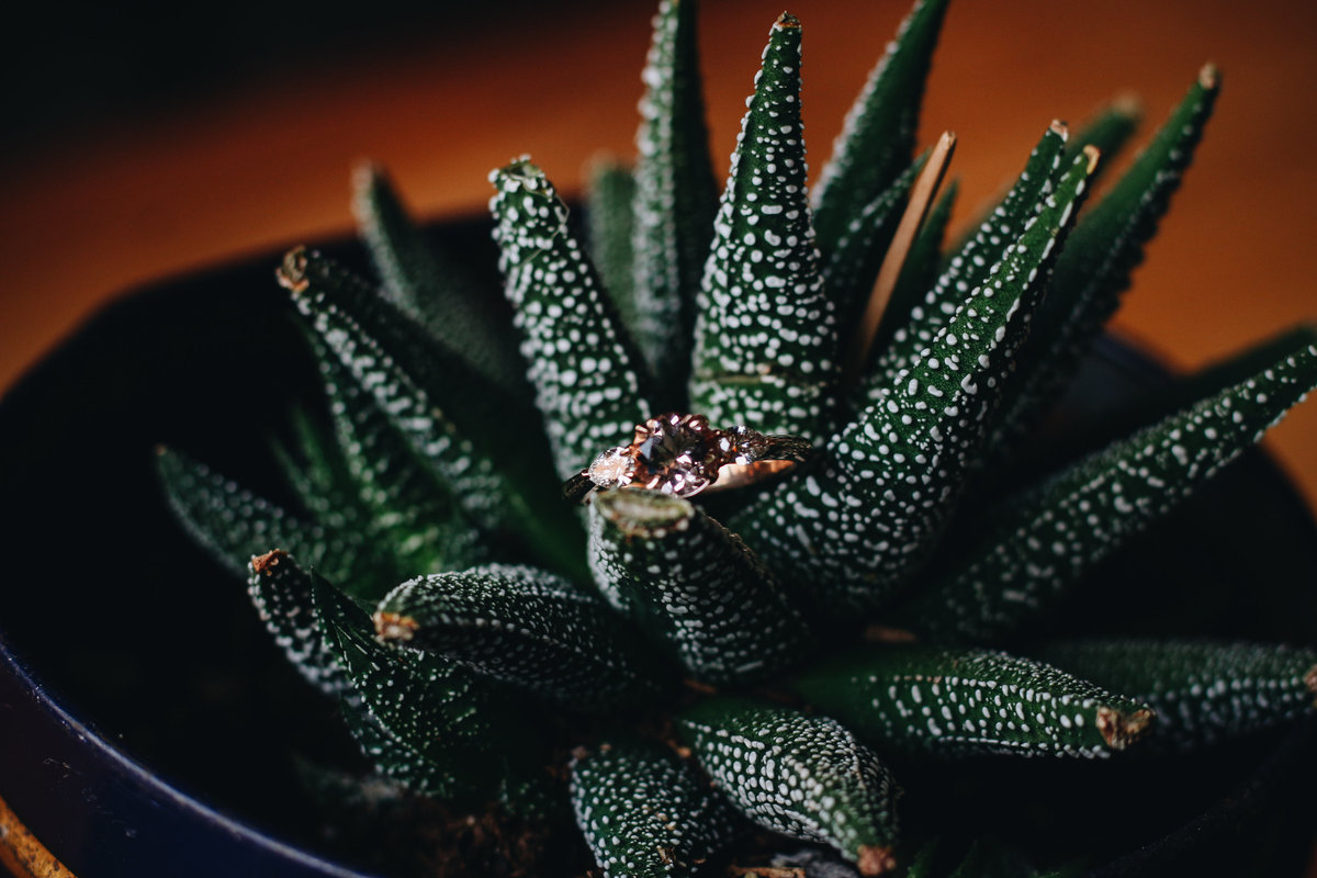 iz-and-co-rings-skulls-tattoo-detroit-lifestyle-Chettara-T-Photography-1063