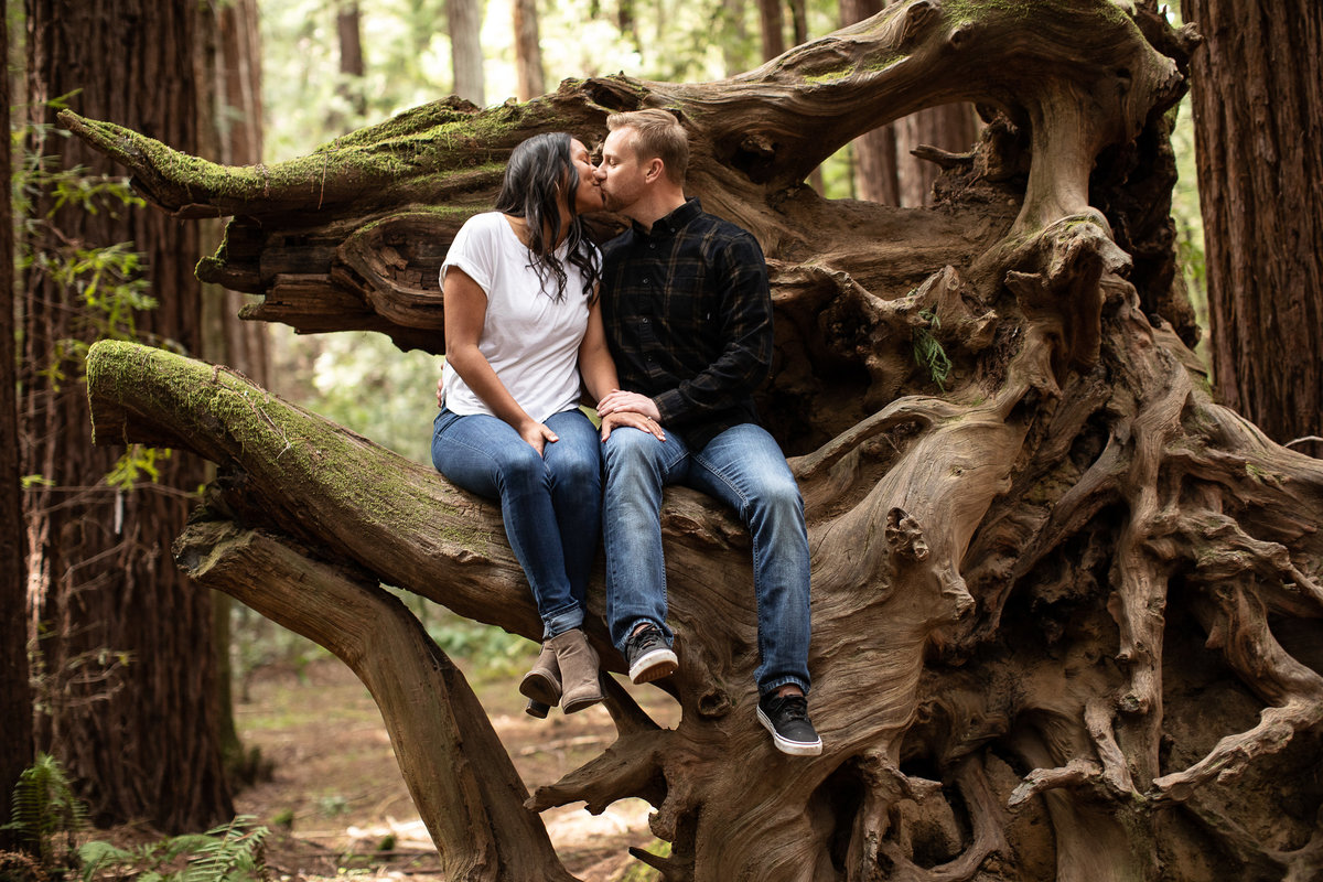 Armstrong  forest couple on tree