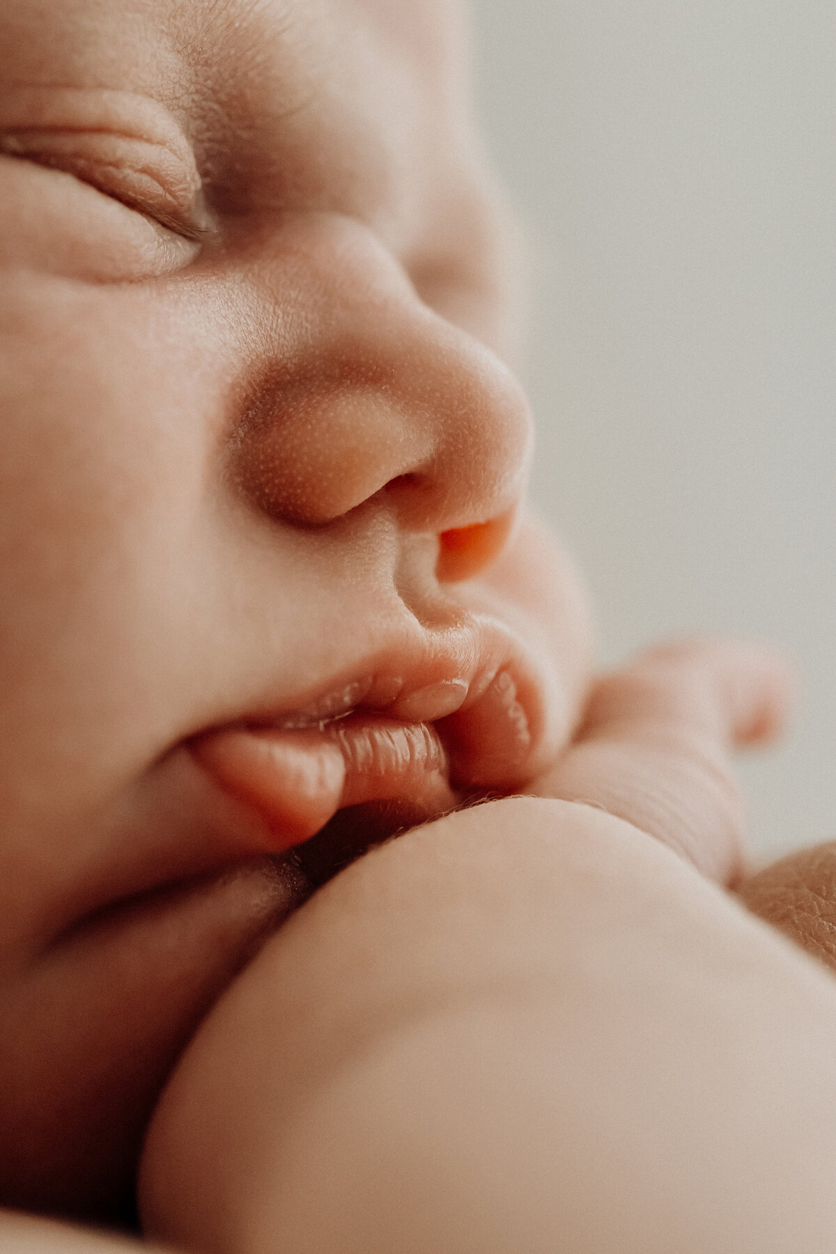 A close up macro photograph of newborn facial features