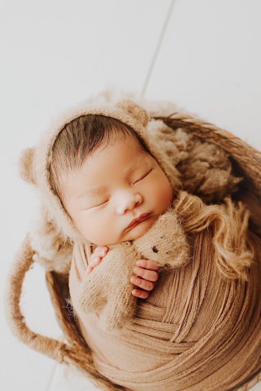 Sacramento, Elk Grove, Florin, Vineyard, Roseville, Davis, Rancho Cordova, East Sacramento, Cameron Park, Folsom, Antelope Newborn Photographer, Baby Photographer, A Little Goose