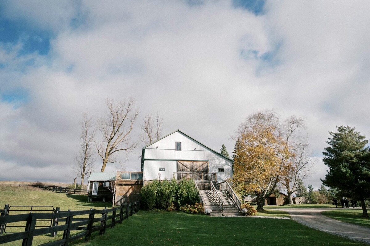 W11-Wedding-Photos-Caledon-Valley-Estate-Eleanor-and-Michael-2024-11-02-2500px-1000
