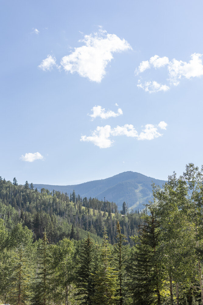 ArianaNicolePhotography_Beaver_Creek_Lodge-0059