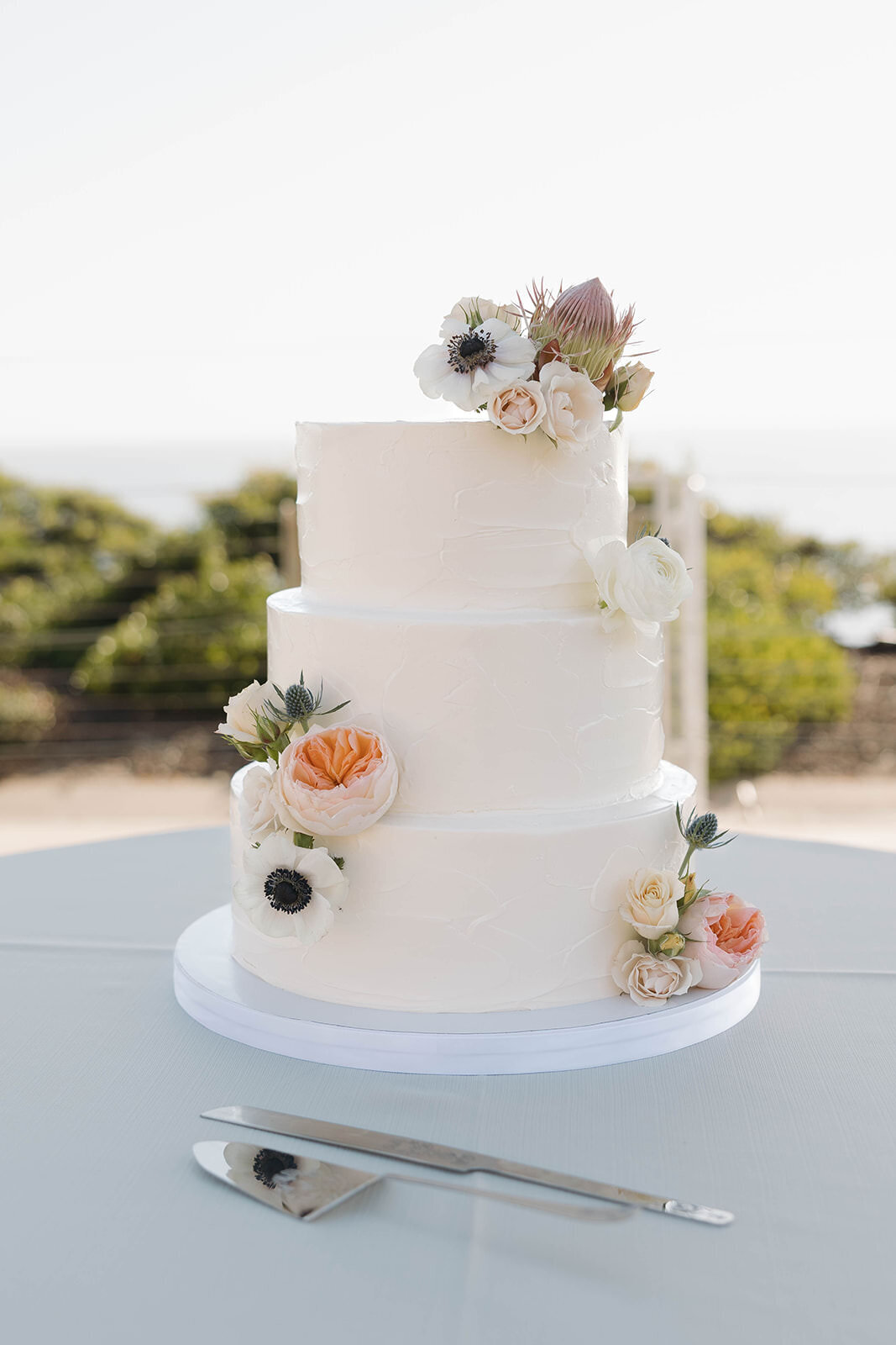 AGcake9.6.24.002-2