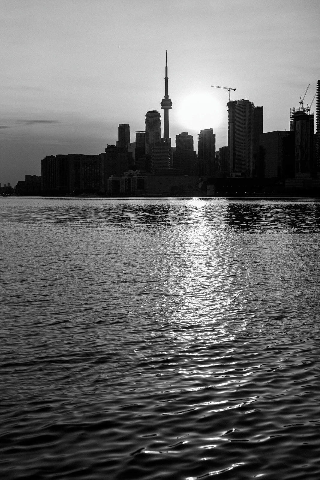 E11-Engagement-photo-shoot-in-Downtown-Toronto-Maria-and-DeVon-2025-04-14-2500px-1104