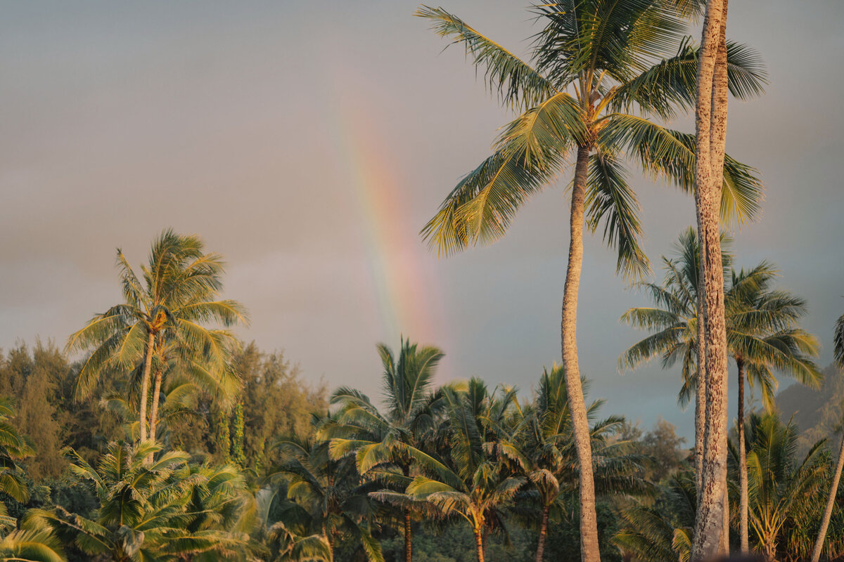 1_hotel_hanalei_elopement_pictures41