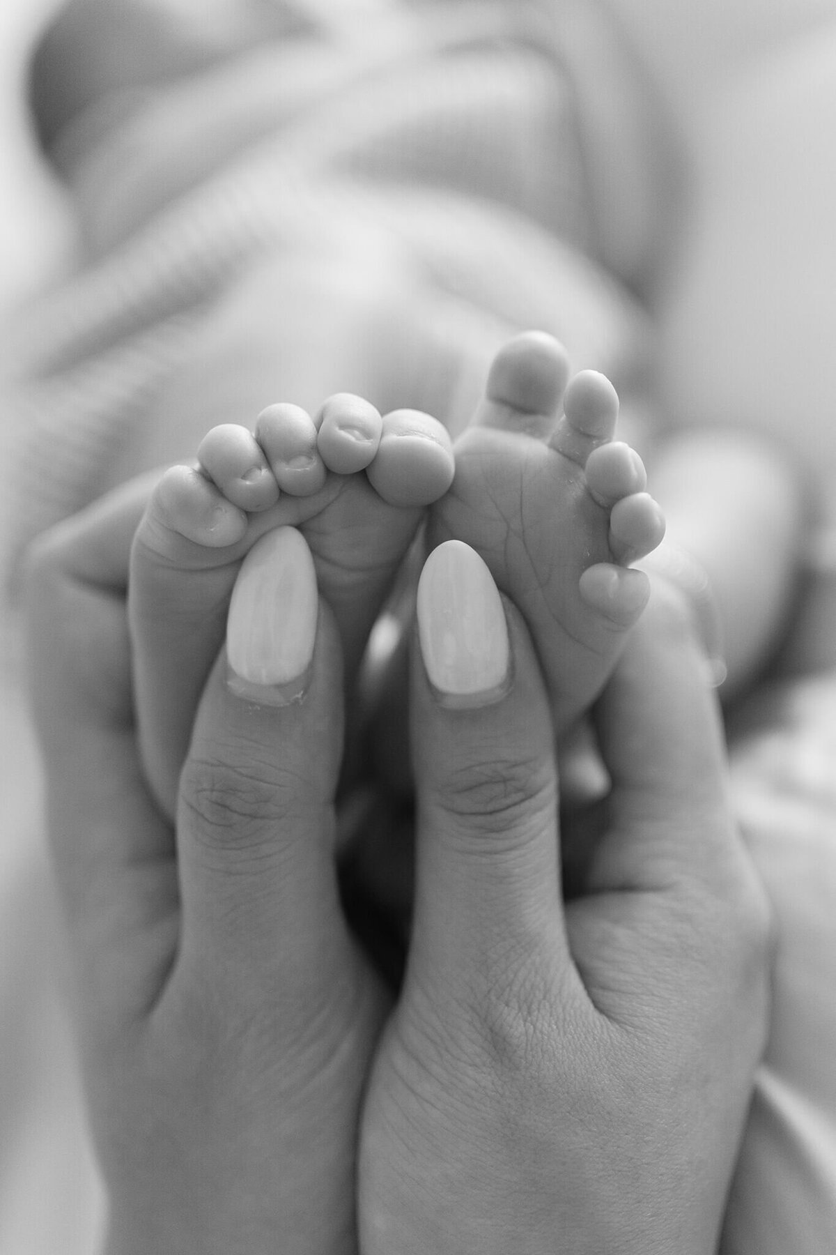 close up of baby's toes in black and white, taken by maternity photographer gold coast molendinar