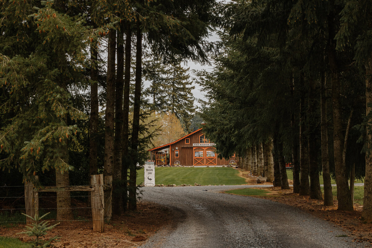 Gravel road lined with pine trees leading to barn