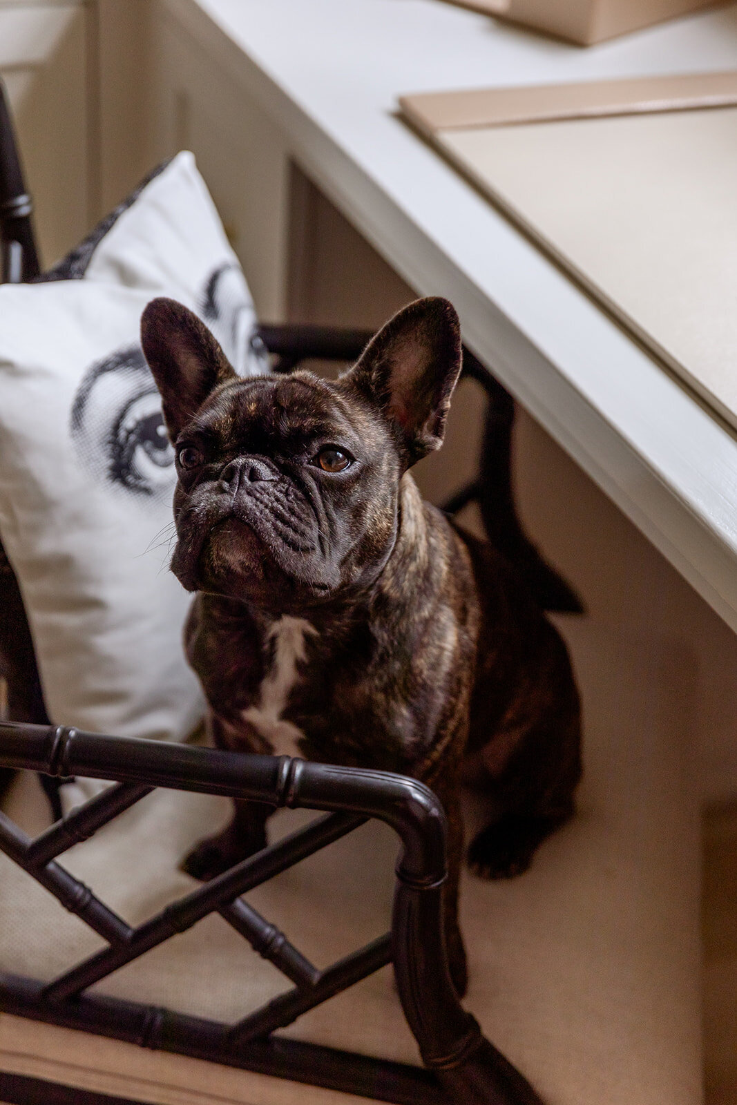 Garner - Office - Evan Millárd Interior Design