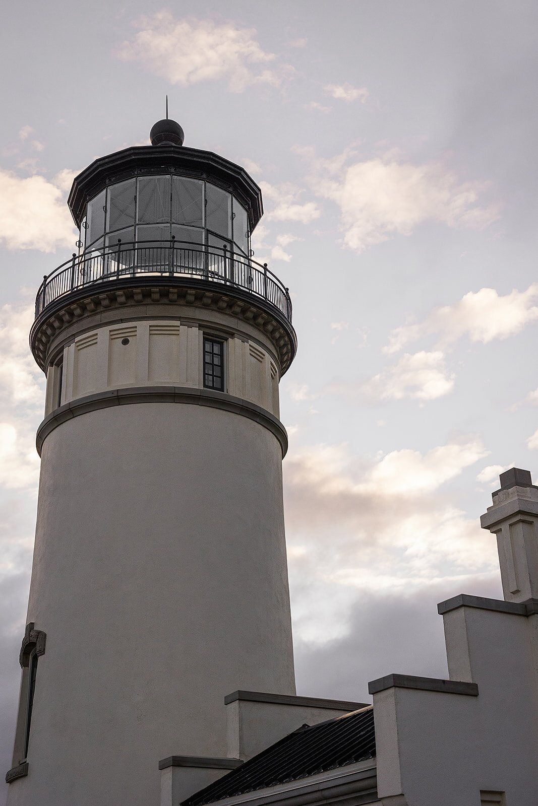 Final_Seaview Washington Elopement - Tara Nichole Photo - 2024 - Lauren and Jarrod-195