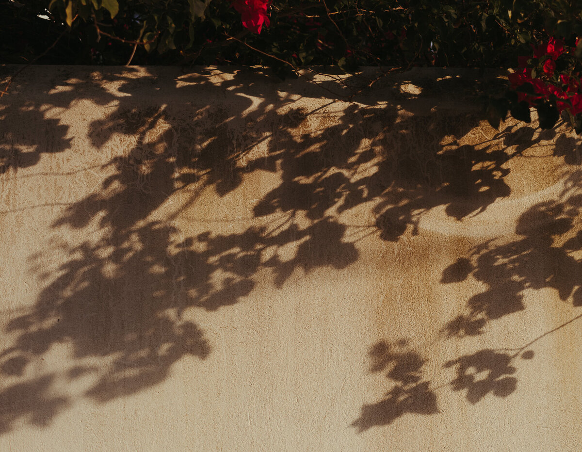 Editorial_Destination_Wedding_Photographer-3