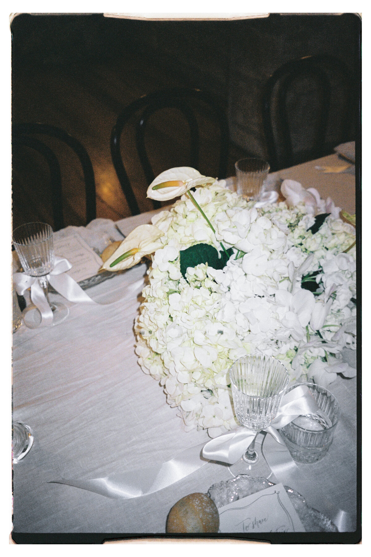 Maegan-Brown-Moments_231103_Wedding_Lauren-Bernie_Frolic-Lane_35mm-Film-Scans_0039-2