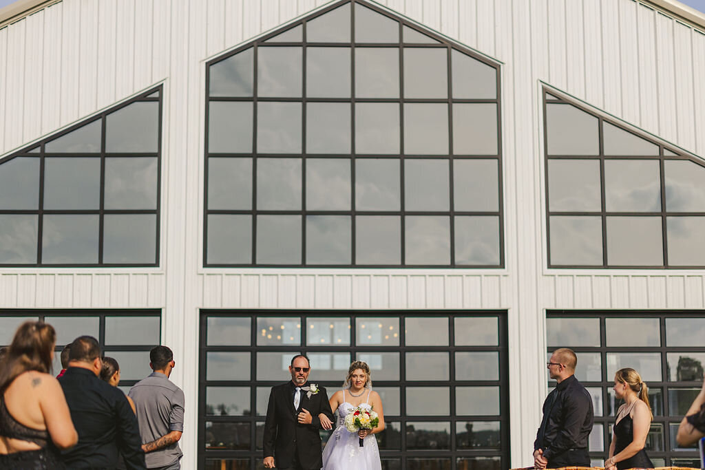 VRWed-247