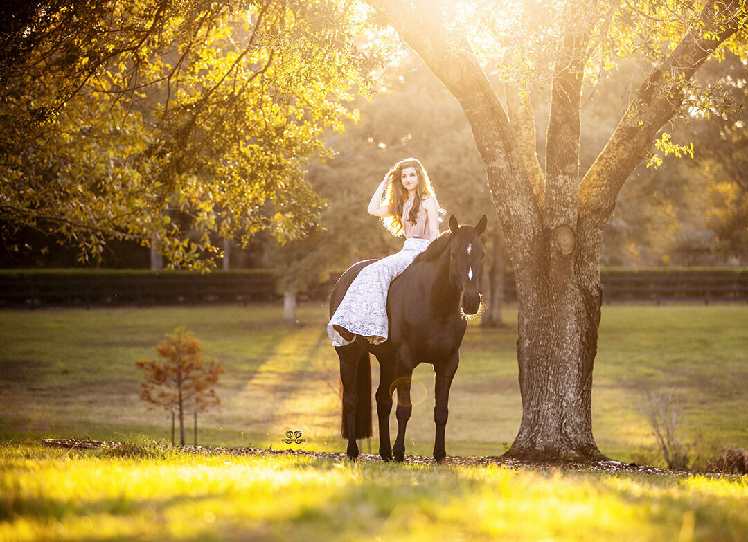 AA0I5701©StunningSteedsPhoto-18