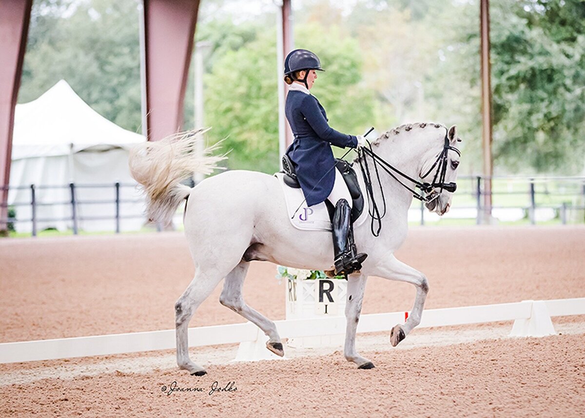 jessie-paine-jp-dressage-6