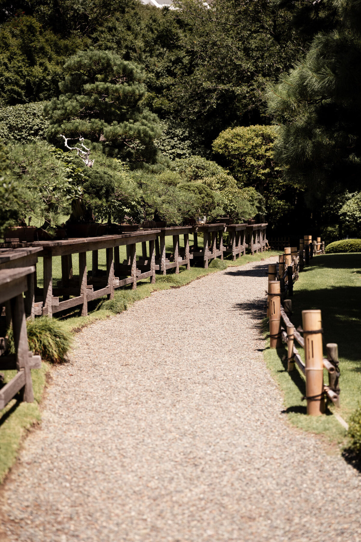 Japan for Website-18