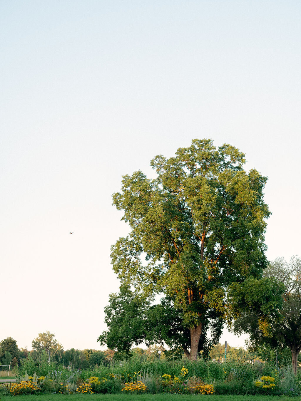 Washington Park; Denver, Colorado.