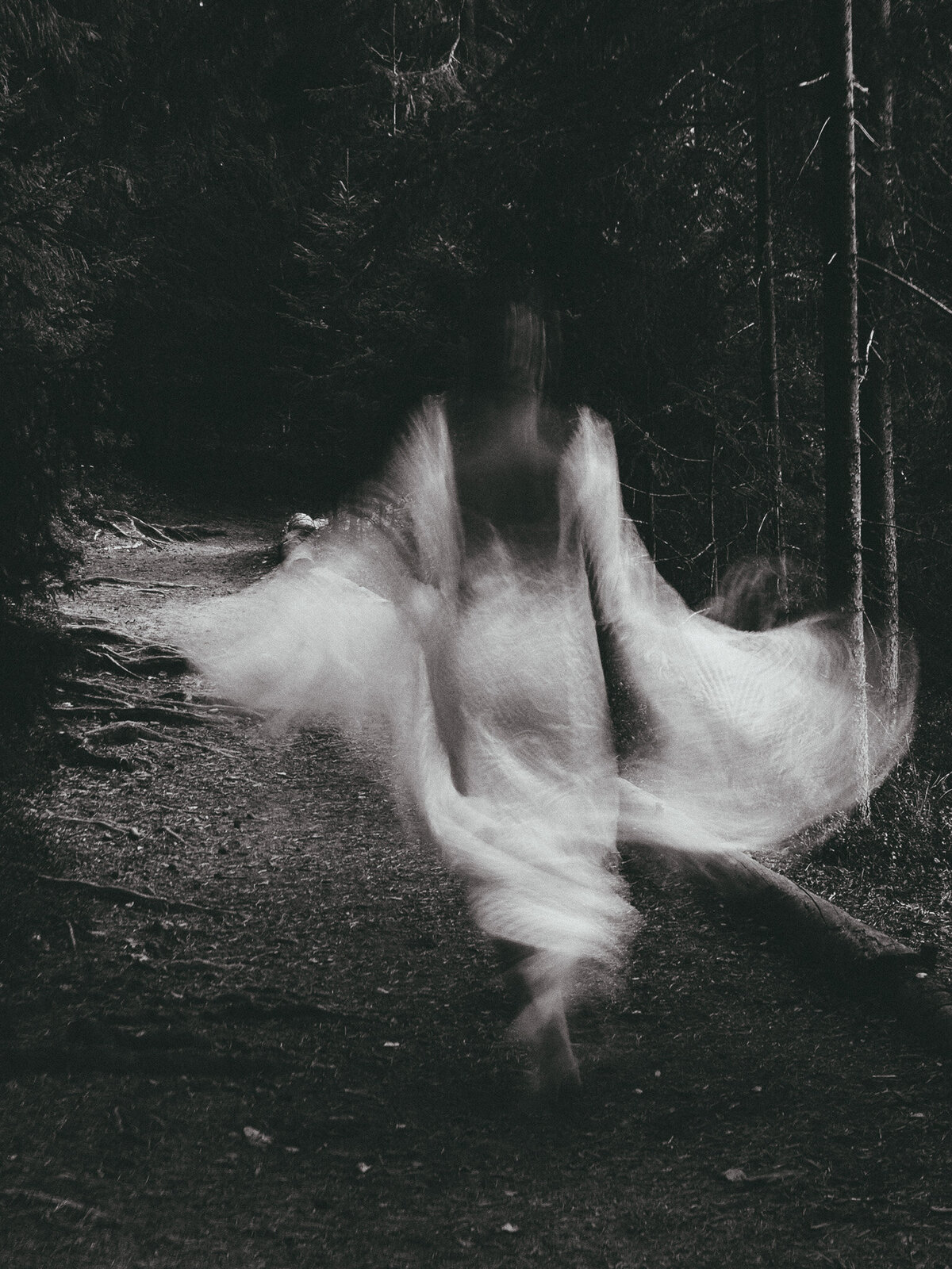 pexels-nadin-sh-78971847-9632584