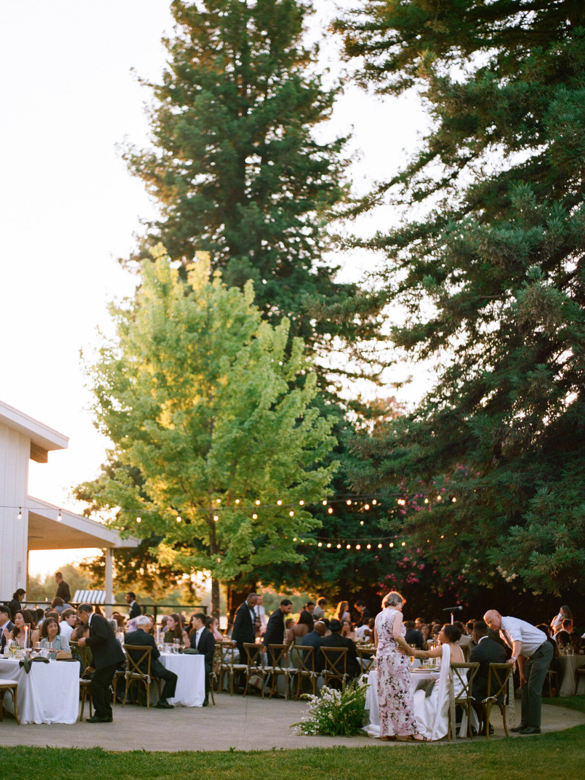 Bethany+KevinCaliforniaParkWintersWeddingCassieValentePhotography0732