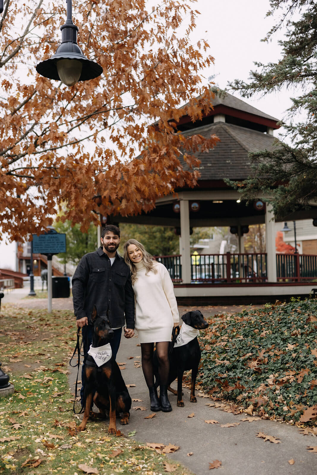 Couple standing with two dogs for pregnancy announcement photos in Finger Lakes New York